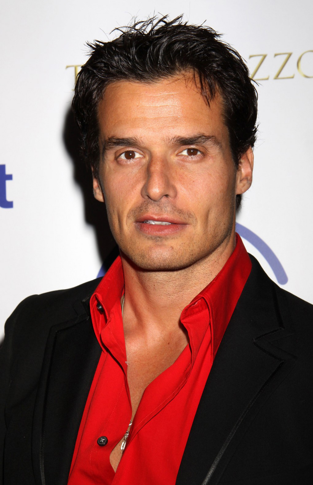 Gallery Antonio Sabato Jr